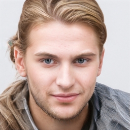 DenWild